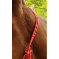 Ethologisch halster touw Fin Beige