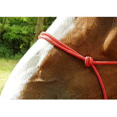 Ethologisch halster touw Fin Rood Ethologisch halster touw Fin Rood