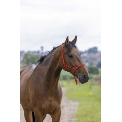 Ethologisch halster touw Fin Rood Ethologisch halster touw Fin Rood