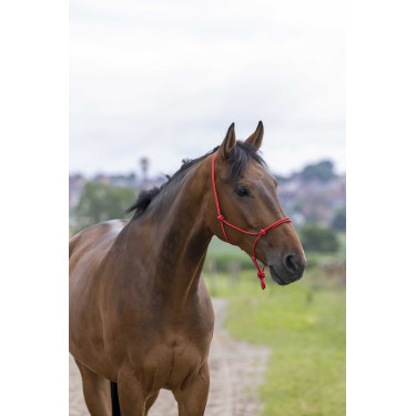 Ethologisch halster touw Fin Rood Ethologisch halster touw Fin Rood