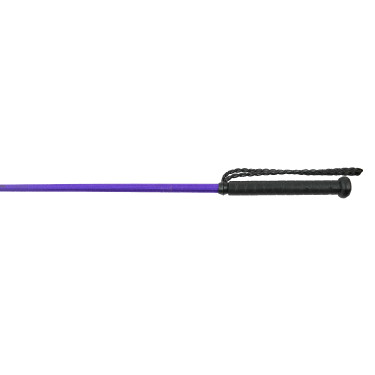 Cravache Whip & Go Twist met handvat Violet Cravache Whip & Go Twist met handvat Violet