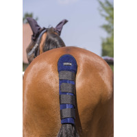 Staartbeschermer Norton Hoge Bescherming Chocolade Bruin