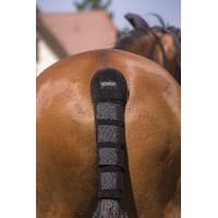 Staartbeschermer Norton Hoge Bescherming Chocolade Bruin