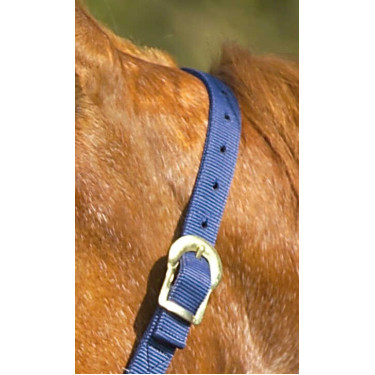 Nylon halster met dubbele dikte en gespen Norton Marineblauw Nylon halster met dubbele dikte en gespen Norton Marineblauw