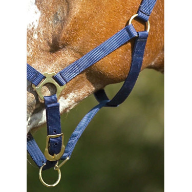 Nylon halster met dubbele dikte en gespen Norton Marineblauw Nylon halster met dubbele dikte en gespen Norton Marineblauw