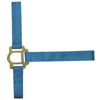 Nylon halster met dubbele dikte en gespen Norton Turkoois Blauw Nylon halster met dubbele dikte en gespen Norton Turkoois Blauw