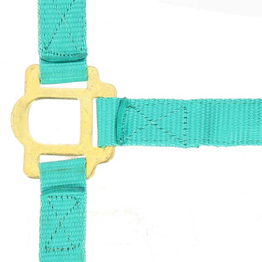 Nylon halster met dubbele dikte en gespen Norton Turkoois Blauw