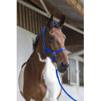 Halster- en leidlijnset Club Fuchsia Roze