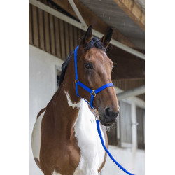 Halster- en leidlijnset Club Koningsblauw