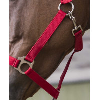 Halster- en leidlijnset Club Rood