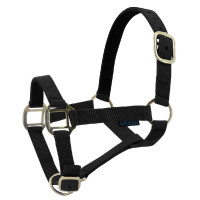 Nylon halster met lederen voering Norton Blauw / zwart