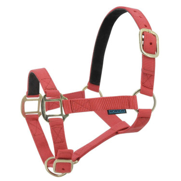 Nylon halster met lederen voering Norton Rood