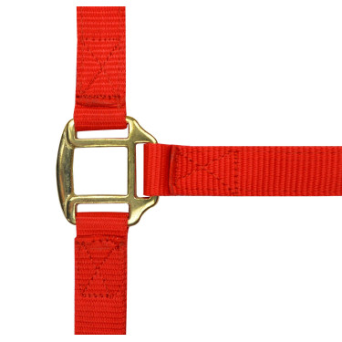 Nylon halster met lederen voering Norton Rood