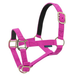 Nylon halster met lederen voering Norton Fuchsia Roze