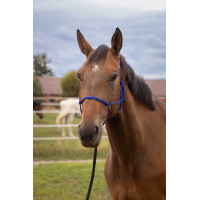 Zachte touwhalster Zwart