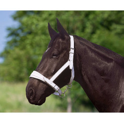 Norton Club leren halster met chroomafwerking