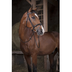 Rubberen Teugels Norton Pro 16 mm Rubberen Teugels Norton Pro 16 mm