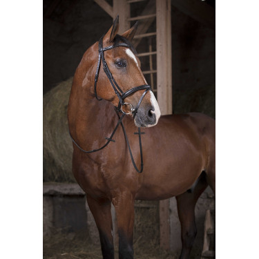 Rubberen Teugels Norton Pro 16 mm Rubberen Teugels Norton Pro 16 mm