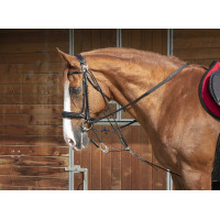 Norton Pro katrolhoofdstel Zwart