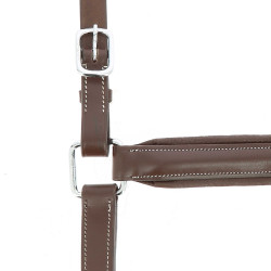 Anatomisch halster Norton Pro Havana Bruin Anatomisch halster Norton Pro Havana Bruin
