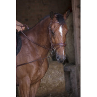 Elastische korte hulpteugel / Norton Pro katrollen Havana Bruin