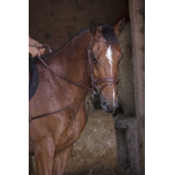 Elastische korte hulpteugel / Norton Pro katrollen Havana Bruin