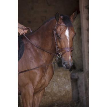 Elastische korte hulpteugel / Norton Pro katrollen Havana Bruin