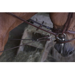 Elastische korte hulpteugel / Norton Pro katrollen Havana Bruin