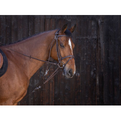 Katrolblok Riding World Havana Bruin