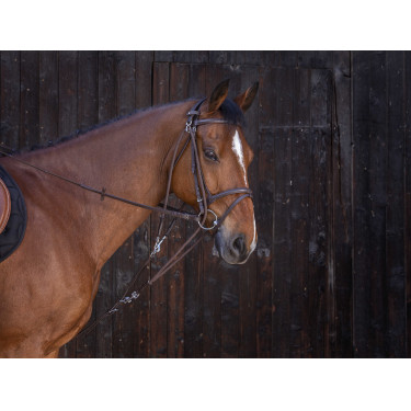 Katrolblok Riding World Havana Bruin