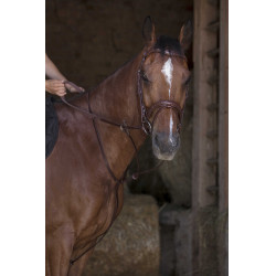 Martingaal met ringen Norton Pro Havana Bruin