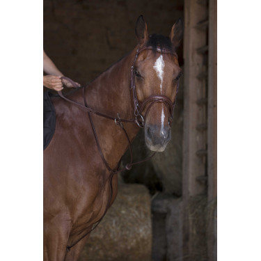 Martingaal met ringen Norton Pro Havana Bruin
