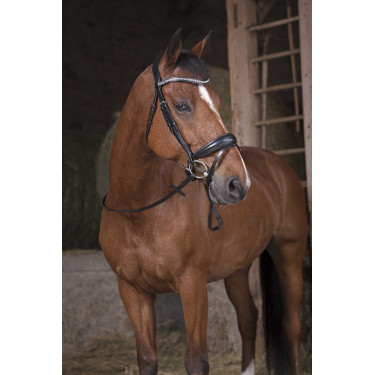 Norton Pro gripteugels Zwart / zwart