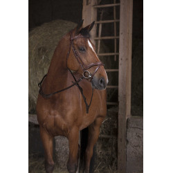 Teugels met handgrepen Norton Pro Havana Bruin Teugels met handgrepen Norton Pro Havana Bruin