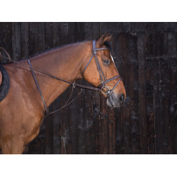 Martingaal met ringen Riding World Havana Bruin