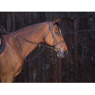 Martingaal met ringen Riding World Havana Bruin