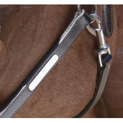 Lederen halster Norton Pro Grooming Zwart