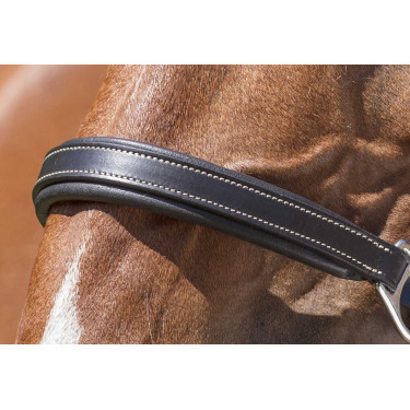 Lederen halster Norton Pro Grooming Zwart