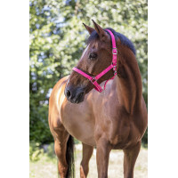 Norton Fluo halster gevoerd Roze