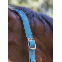 Norton Fluo halster gevoerd Blauw