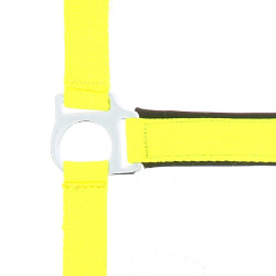 Norton Fluo halster gevoerd Geel