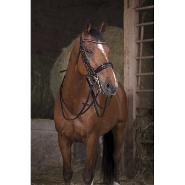 Norton Pro hoofdstel teugels 13 mm Zwart