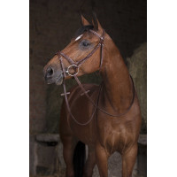 Teugels Hunter Norton Pro 16 mm Havana Bruin