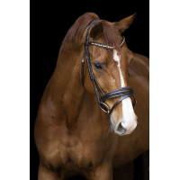 Bridon Impérial Riding Fria Bourgondië Bordeaux Bridon Impérial Riding Fria Bourgondië Bordeaux
