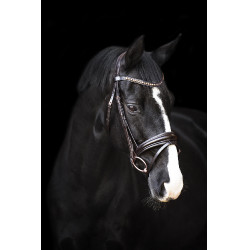 Bridon Impérial Riding Fria Bruin Bridon Impérial Riding Fria Bruin