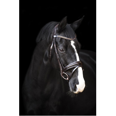 Bridon Impérial Riding Fria Bruin Bridon Impérial Riding Fria Bruin