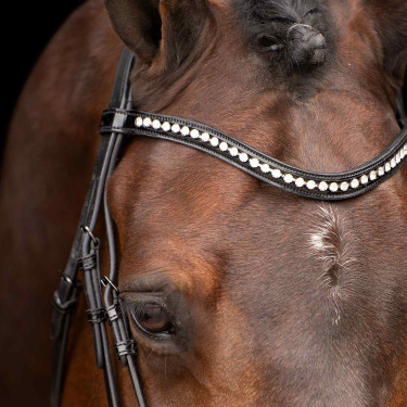 Bridon Impérial Riding Athena Zwart