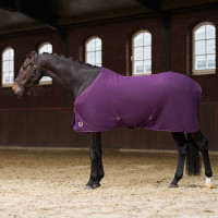Fleece deken Imperial Riding Fundamental Vijg Violet