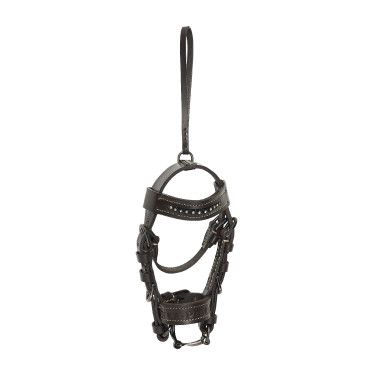 HV Polo Legacy halster met charms Hout Beige