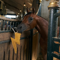 Stal-speeltje Imperial Riding bliksem Geel